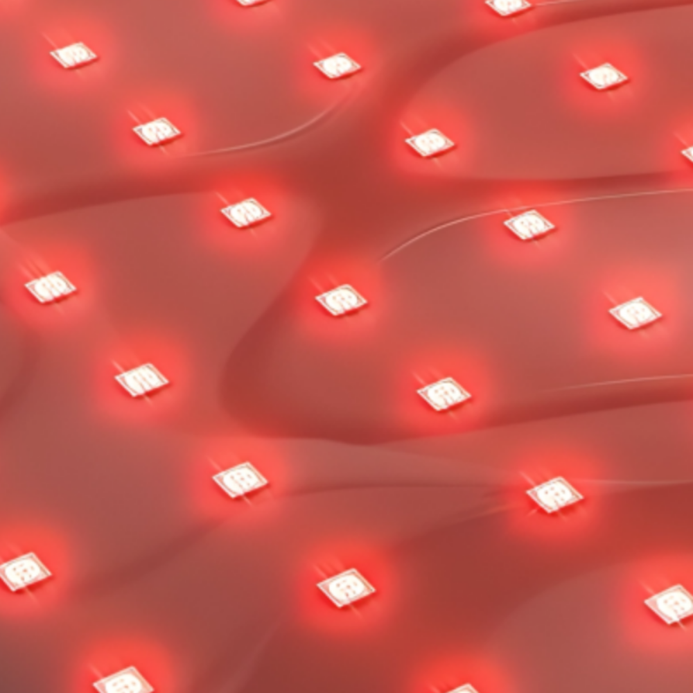 Red Light & Infrared Therapy Belt